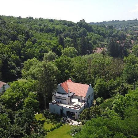 Villa Viridis Buekkalja Borsodgeszt Exteriér fotografie